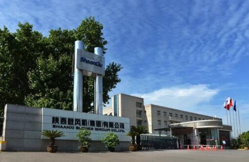 【陜鼓集團(tuán)】陜鼓集團(tuán)上榜“2022年度中國(guó)鋼鐵品牌榜”，獲“卓越鋼鐵技術(shù)與服務(wù)供應(yīng)商品牌”榮譽(yù)稱(chēng)號(hào)