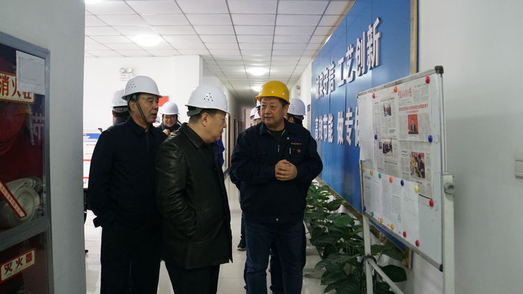 集團領(lǐng)導金輝帶隊赴標準電梯、標準熱處理進行工作調(diào)研